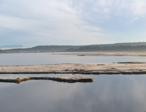 Nanaimo Bay Wetlands